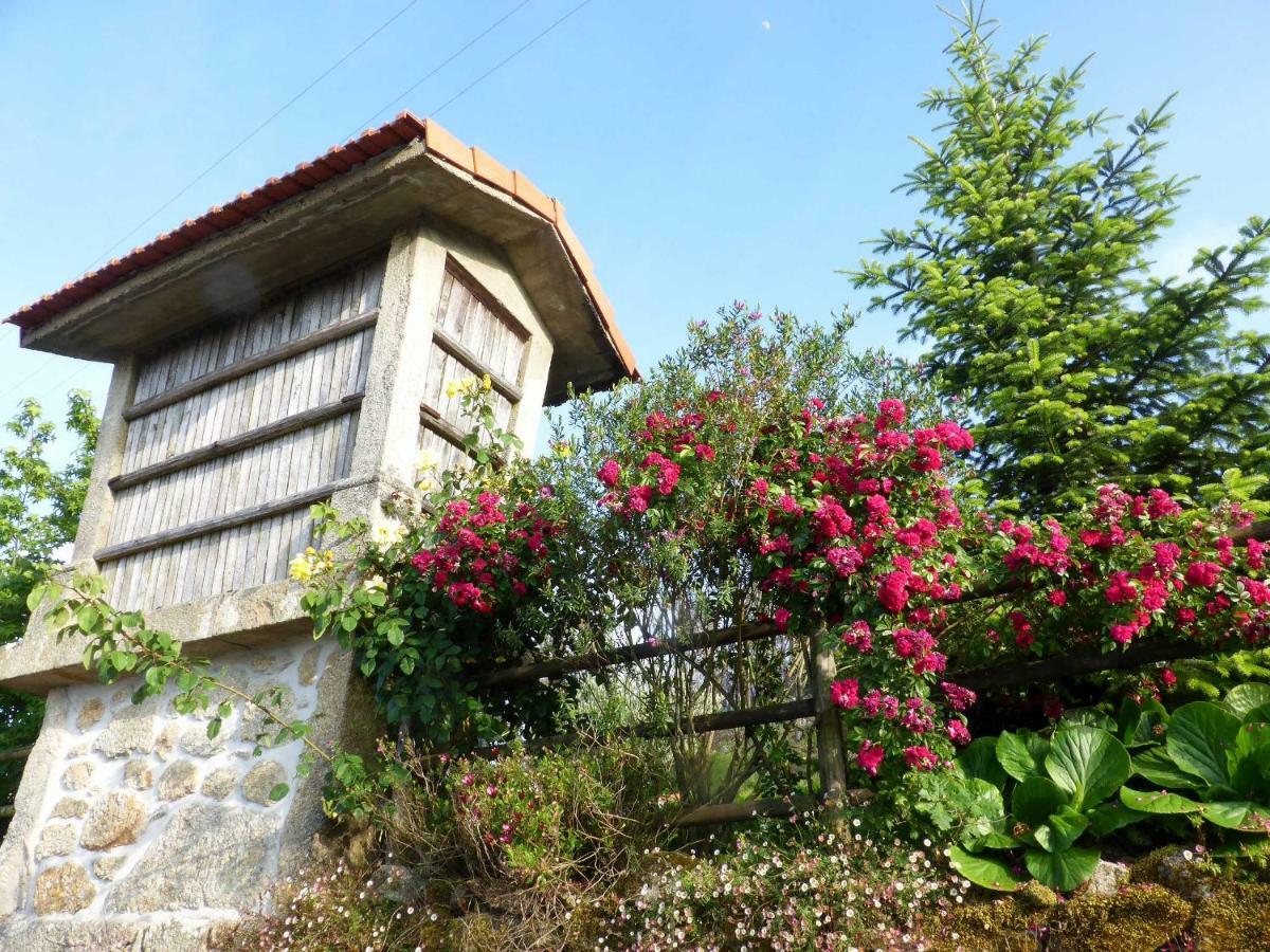 Casa Da Eira Velha Villa Vale de Cambra Exteriör bild